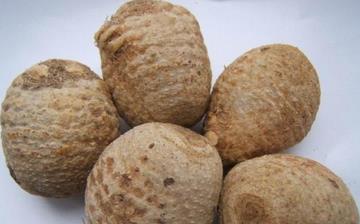 【澤瀉】澤瀉的功效與作用_澤瀉的使用禁忌_澤瀉的副作用 【澤瀉】澤瀉的功效與作用_澤瀉的使用禁忌_澤瀉的副作用