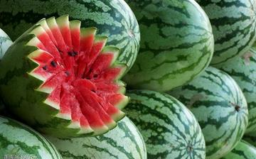 【西瓜】西瓜的功效與作用,西瓜上火嗎,西瓜怎么吃,西瓜是什么 【西瓜】西瓜的功效與作用,西瓜上火嗎,西瓜怎么吃,西瓜是什么
