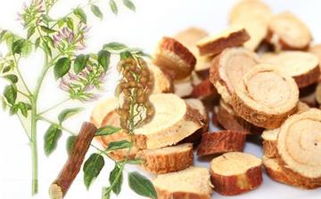 【甘草】甘草的功效和作用_甘草泡水喝的功效_甘草的藥用價值 【甘草】甘草的功效和作用_甘草泡水喝的功效_甘草的藥用價值