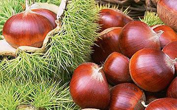 【板栗】板栗怎么去皮_板栗的功效與作用_板栗的營養(yǎng)價(jià)值_糖炒栗子 【板栗】板栗怎么去皮_板栗的功效與作用_板栗的營養(yǎng)價(jià)值_糖炒栗子