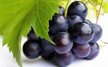 【玫瑰香葡萄】玫瑰香葡萄的功效與作用_玫瑰香葡萄上火嗎_玫瑰香葡萄怎么吃 【玫瑰香葡萄】玫瑰香葡萄的功效與作用_玫瑰香葡萄上火嗎_玫瑰香葡萄怎么吃