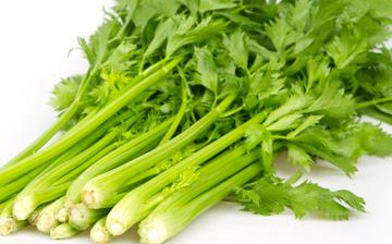 【芹菜】芹菜的營養價值_芹菜怎么做好吃_芹菜的做法大全_孕婦能吃芹菜嗎 【芹菜】芹菜的營養價值_芹菜怎么做好吃_芹菜的做法大全_孕婦能吃芹菜嗎
