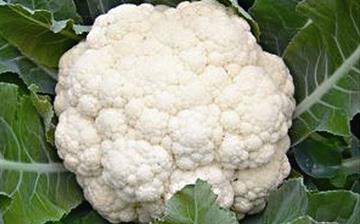 【菜花】花椰菜_花菜_菜花的營(yíng)養(yǎng)價(jià)值_菜花怎么做好吃_菜花的做法大全 【菜花】花椰菜_花菜_菜花的營(yíng)養(yǎng)價(jià)值_菜花怎么做好吃_菜花的做法大全