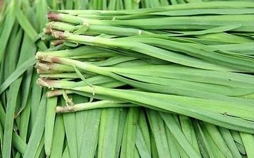 【韭菜】韭菜的營養價值_韭菜怎么做好吃_韭菜的做法大全_孕婦能吃韭菜嗎 【韭菜】韭菜的營養價值_韭菜怎么做好吃_韭菜的做法大全_孕婦能吃韭菜嗎