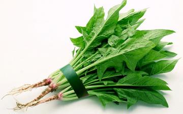 【菠菜】菠菜的營養價值_菠菜不能和什么一起吃_菠菜的做法大全 【菠菜】菠菜的營養價值_菠菜不能和什么一起吃_菠菜的做法大全