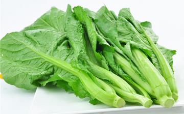 【芥菜】芥菜的功效與作用營養(yǎng)價值_芥菜怎么做好吃_芥菜的做法大全 【芥菜】芥菜的功效與作用營養(yǎng)價值_芥菜怎么做好吃_芥菜的做法大全