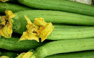 【絲瓜】絲瓜的功效與作用營(yíng)養(yǎng)價(jià)值_絲瓜怎么做好吃_絲瓜的做法大全 【絲瓜】絲瓜的功效與作用營(yíng)養(yǎng)價(jià)值_絲瓜怎么做好吃_絲瓜的做法大全