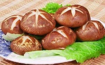 【香菇】香菇的營(yíng)養(yǎng)價(jià)值_香菇怎么做好吃_香菇的做法大全_孕婦能吃香菇嗎 【香菇】香菇的營(yíng)養(yǎng)價(jià)值_香菇怎么做好吃_香菇的做法大全_孕婦能吃香菇嗎