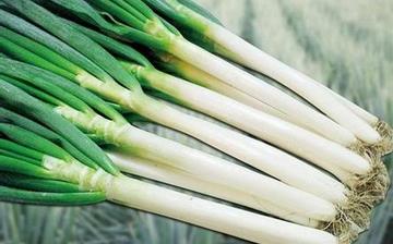 【大蔥】大蔥的功效與作用營養(yǎng)價值_大蔥怎么做好吃_大蔥的做法大全 【大蔥】大蔥的功效與作用營養(yǎng)價值_大蔥怎么做好吃_大蔥的做法大全