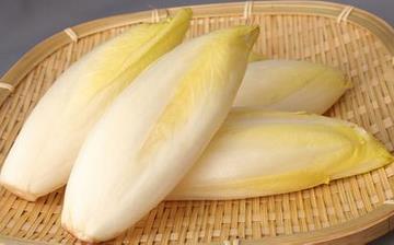 【菊苣】菊苣的營養價值_菊苣怎么做好吃_菊苣的做法大全 【菊苣】菊苣的營養價值_菊苣怎么做好吃_菊苣的做法大全