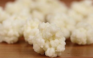 【雪蓮菌】雪蓮菌的營養(yǎng)價值_雪蓮菌的功效和作用_什么牌子的雪蓮菌好