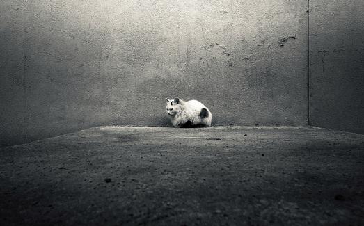 如何與自閉癥兒童溝通?