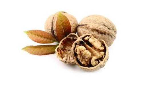 這些養生寶貝竟然都被丟掉啦!