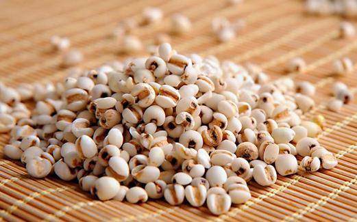薏仁米有什么功效?薏仁米的食用方法