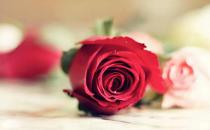 鮮花養生助女人越活越美！