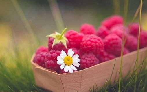 如何讓母親度過一個(gè)快樂的晚年?