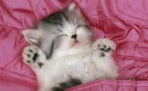 熬夜會給你帶來什么危害？