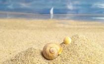 愛情問題幫你決定是否還要繼續(xù)