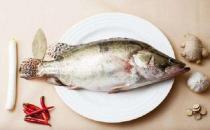 不同種類的魚該如何烹調？