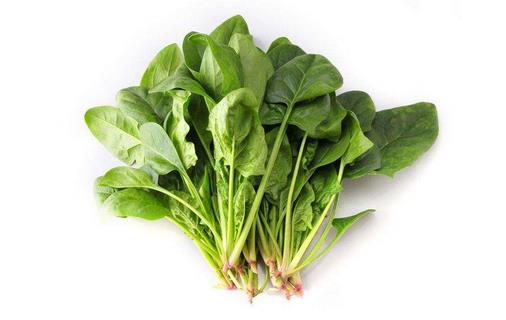 這些蔬菜一定不能生吃!