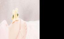 如何從月經周期預測生男生女？