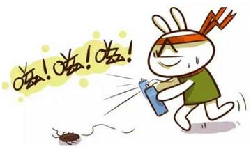 【滅蟑螂】蟑螂怎么消滅_滅蟑螂最有效的方法_怎樣有效殺死蟑螂 【滅蟑螂】蟑螂怎么消滅_滅蟑螂最有效的方法_怎樣有效殺死蟑螂