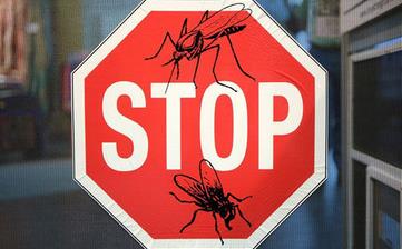 【驅(qū)蚊】驅(qū)蚊方法妙招_驅(qū)蚊植物_用什么驅(qū)蚊子效果好_驅(qū)蚊滅蚊 【驅(qū)蚊】驅(qū)蚊方法妙招_驅(qū)蚊植物_用什么驅(qū)蚊子效果好_驅(qū)蚊滅蚊