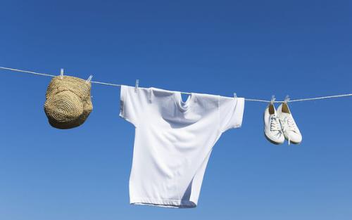 螨蟲的危害有哪些?教你如何趕走螨蟲