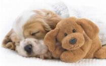 發(fā)作性睡病能自愈嗎？發(fā)作性睡病怎么治療