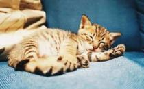 昏睡怎么辦？什么是昏睡癥