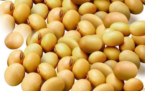 女性愛自己 選對食物保衛(wèi)卵巢