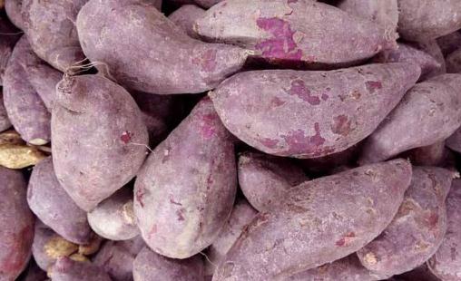 女性防衰老要先保養(yǎng)卵巢 6種食物防卵巢早衰