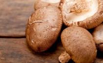 吃什么預防卵巢早衰 7種食物一定要吃