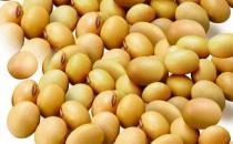 女人要愛自己 選對食物保衛卵巢