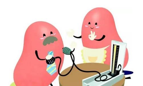 吃什么食物對(duì)腎有好處