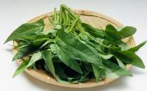 吃菠菜的功效竟然那么強大！