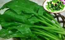 ?貧血如何補血 補鐵常見的6個誤區