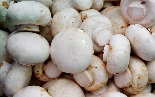 預(yù)防癌癥從飲食開(kāi)始 教你用飲食抗擊八種癌癥