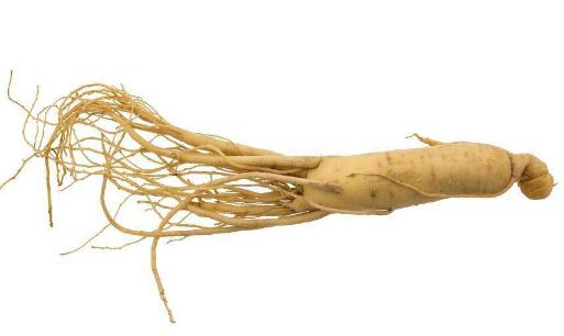 坐月子的五大飲食禁忌