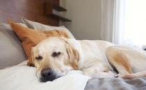 常熬夜要做到三個及時！