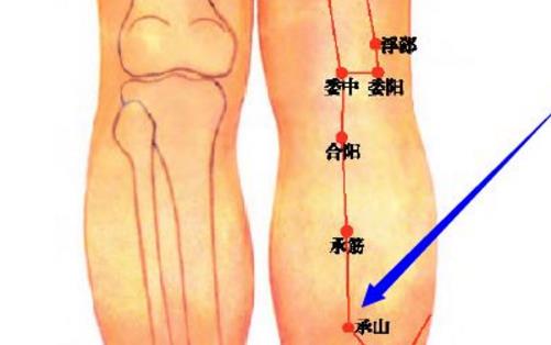 最適合用于按摩養生的九大穴位推薦