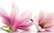 盤點婦科疾病會帶來的危害