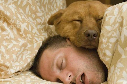 做噩夢小心患這些疾病!