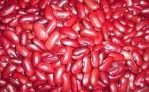 養胃吃啥好 9種食物來護胃