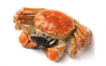 ?新產婦不要多吃螃蟹 容易加重寶寶濕疹