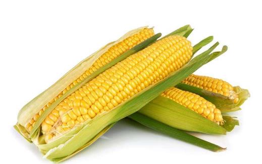 吃什么食物可以預防血管硬化