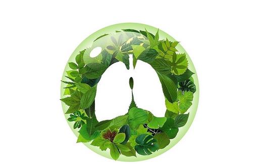 慢性阻塞性肺病患者自我康復(fù)法