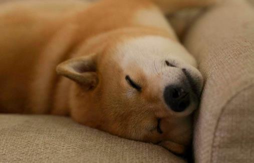 預防蛋白尿的方法有哪些