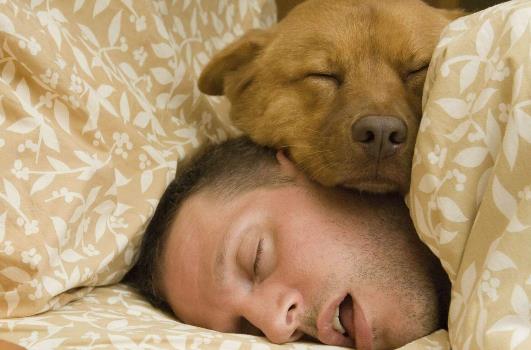 這樣睡讓你加速衰老!