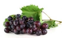 男士養生 保持私處健康15常識